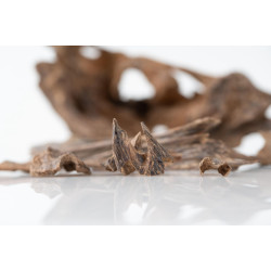 بخور هندي موري مباخر