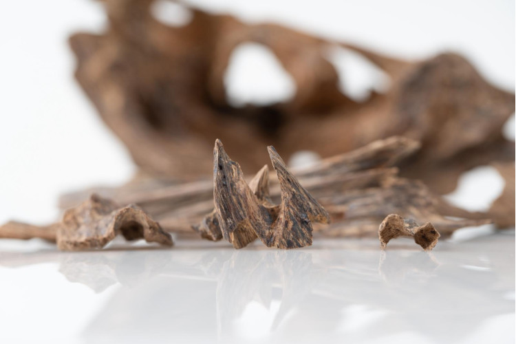 بخور هندي موري مباخر