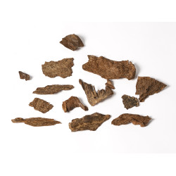 بخور كمبودي