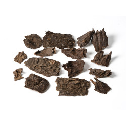 بخور هندي جار شوكي